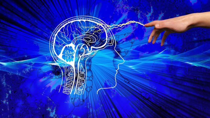 Microsoft ties up with Swiss startup to develop AI that can simulate the human brain