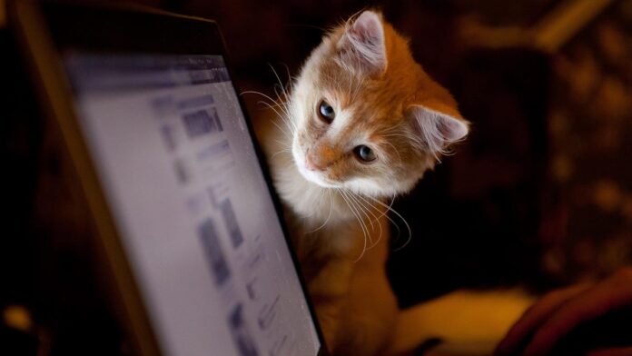 I talked to 5 AIs about my cat, Mr. Giggles - and it says a lot about the state of chatbots