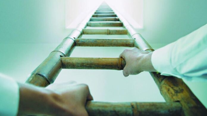 ladderlightscreenshot-2025-10-24-131629.jpg 5 ways ambitious IT pros can future-proof their tech careers in an age of AI